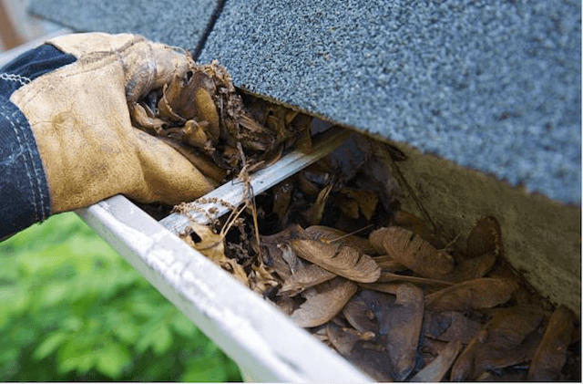 gutter cleaning