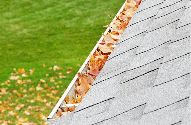 colorful leaves in gutter